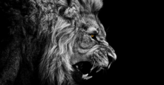 Anger